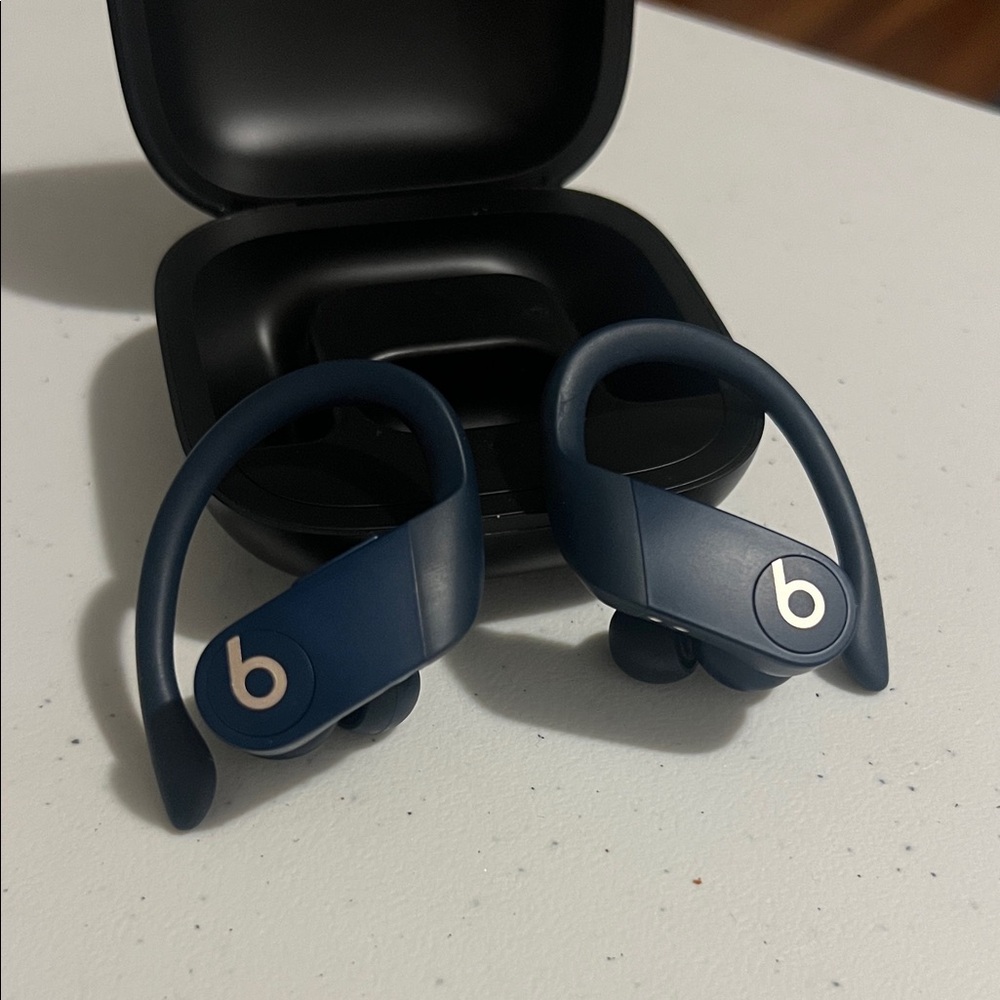 Beats Powerbeats Pro Wireless Earbuds in Blue